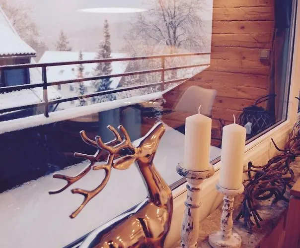 Daire Am Hasselkopf Braunlage